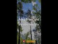 🌳 Year-Round Plant Care
