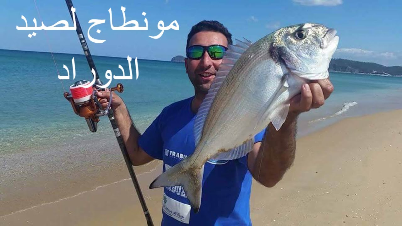فيديو رقم1: مونطاج لصيد الدوراد و طريقة استعمالهmehdi surfcasting