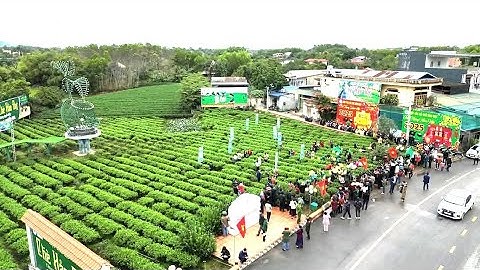 Lễ hội “Hương sắc Trà xuân – Vùng chè đặc sản Tân Cương” thành phố Thái Nguyên năm 2025