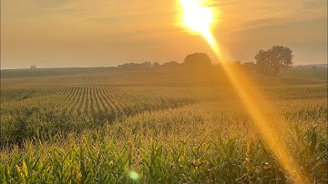 IBM Security Verify Consumer and Identity Access Management (CIAM)