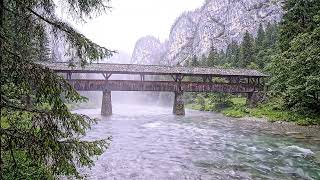 Bavarian Morning Mist | Soft Drizzle & Calm Ambient Piano for Anxiety Relief screenshot 1