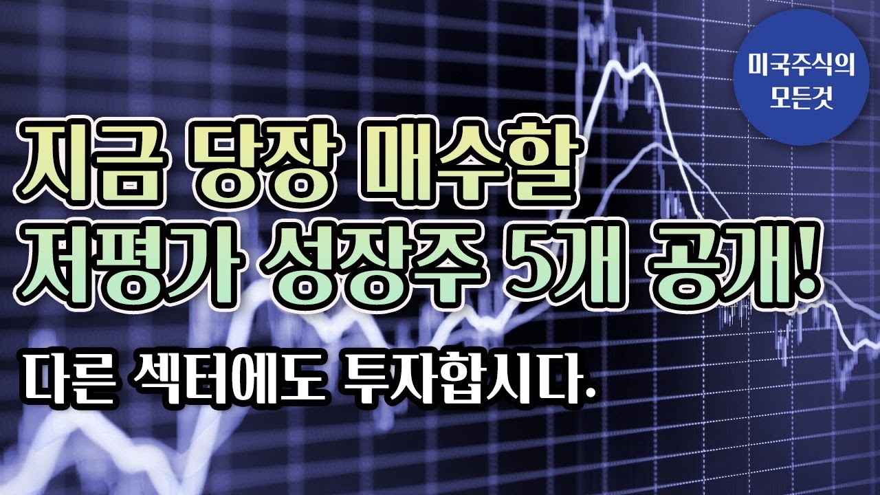 [미국주식] 지금 당장 매수해도 될 저평가 성장주 5개 공개! 다른 섹터에도 투자 합시다! - YouTube