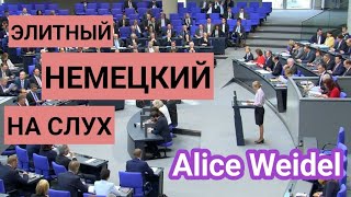 Тренировка аудирования на немецком с разбором лексики и грамматики. Немецкий на слух.