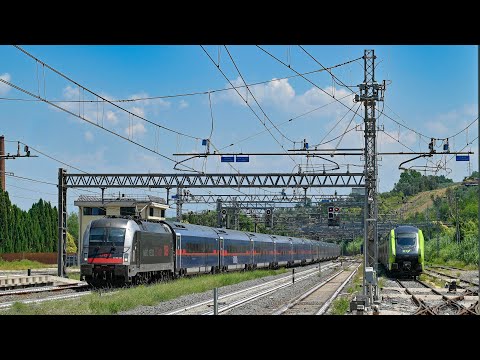 Raccolta transiti giugno 2026 (Roma)