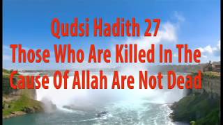 Hadith Qudsi 27 : Those Who Are Killed In The Cause Of Allah Are Not Dead (English)
