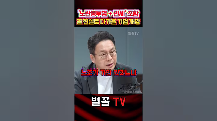 노란봉투법+관세 최악 조합에 앞으로 닥칠 현실 알린 이준우 #이준우 #국민의힘 #정치 #보수