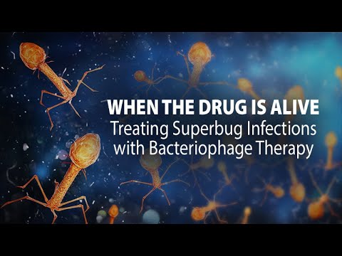 Video: Scientists Told How To Avoid The Appearance Of Invulnerable Super-bacteria - Alternative View