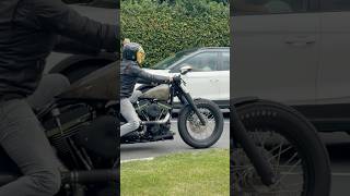 Harley Softail #harley #softail