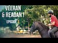 Veeran  reagan  horse vlog  episode 3