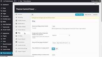 Pulse WordPress Theme - Options overview