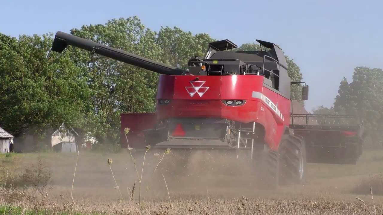 4K/Massey Ferguson 7370 Beta tröskar 1 Augusti 2024