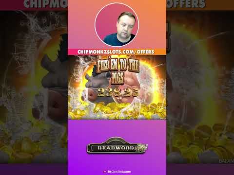 Gioca al Casinò Online Gratis con l'App WinBay: Disponibile in Italiano per il Mercato Italiano
