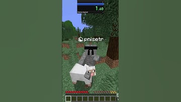 Minecraft Random item Speedrun  #minecraft #speedruning #minecraftgameplay #gaming #bedwarsspeedrun