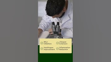 Explore the Potential of Rapamycin in Anti-Aging Research!