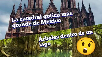 ruta hacia ZAMORA y CAMECUARO capitulo 4
