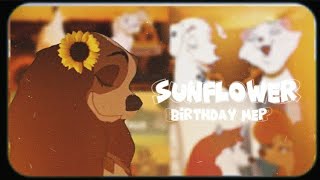 🌻 Sunflower | Birthday MEP