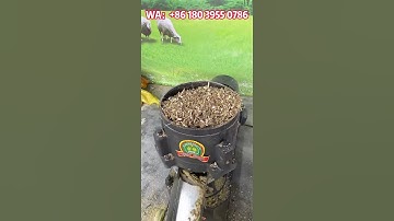 Model 300 feed pellet machine, output 800-1000 kg per hour, driven by 22kw motor #machine