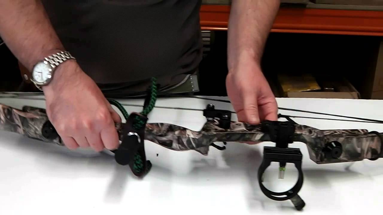 Copy of Compound Bow and Recurve or Longbow Differences
