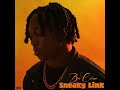 Boi Chase Sneaky Link Official Lyric Video mp3
