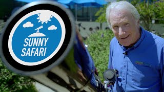 Sunny Safari Promo
http://greensboroscience.org Sunny Safari Promo