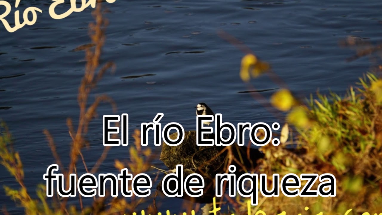 El Bocal (Navarra)