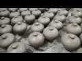 Ujjiwal clay Art is live