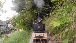 Regner Lumber Jack on CowsmountainLightRailway