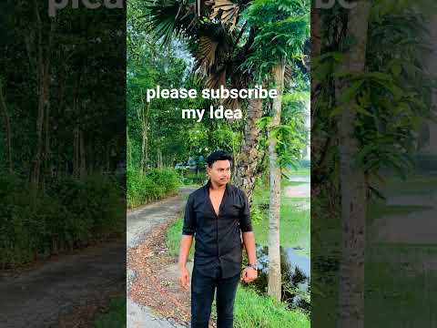 নোয়াখালি কিংহ