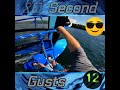 🕛20 Second Gusts⏪ Back is Back...Alright!👍