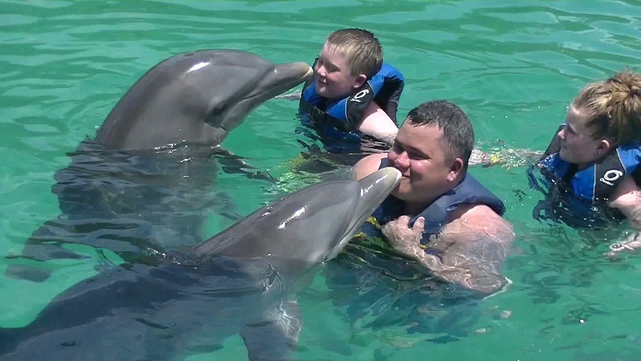 dolphin excursions bahamas