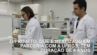 Feevale Vai Testar Medicamentos Contra Zika Mais Ses Para Grávidas