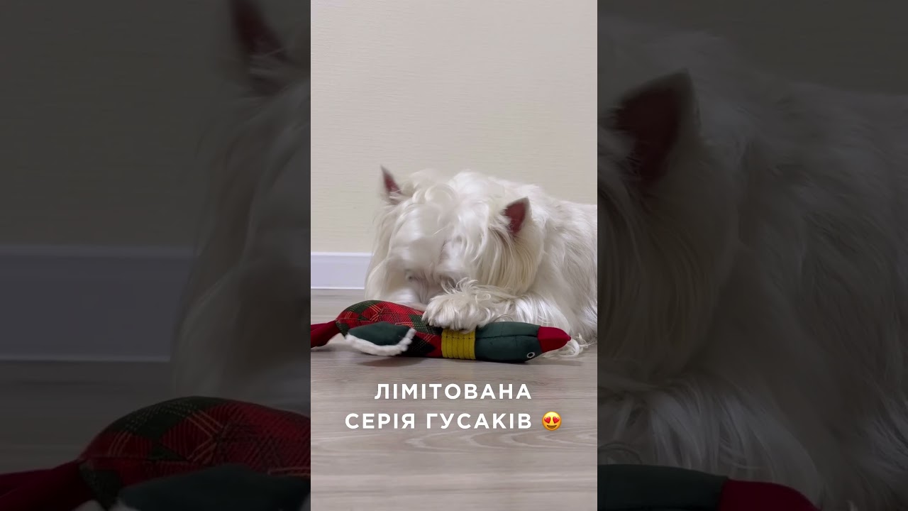 Игрушка гусь для собак Хосе Карлос Pajama Edition Red