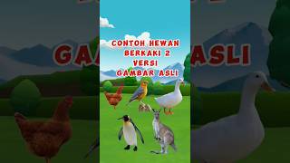 Hewan Berkaki 2 #shorts #ayam #burung #bebek #penguin #kangaroo #duck