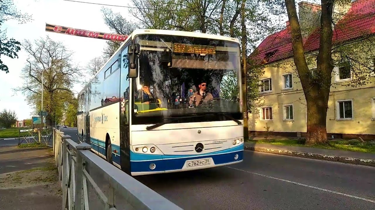 Зеленоградск транс. 117 Автобус Калининград Мамоново. Автобус Мамоново Калининград. Автобус. 245 Автобус.