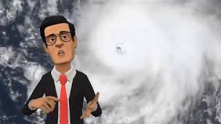 PLOTAGON News Animation
