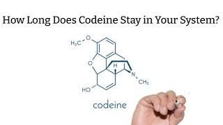 How Long Does Codeine Stay In Your System? Profile