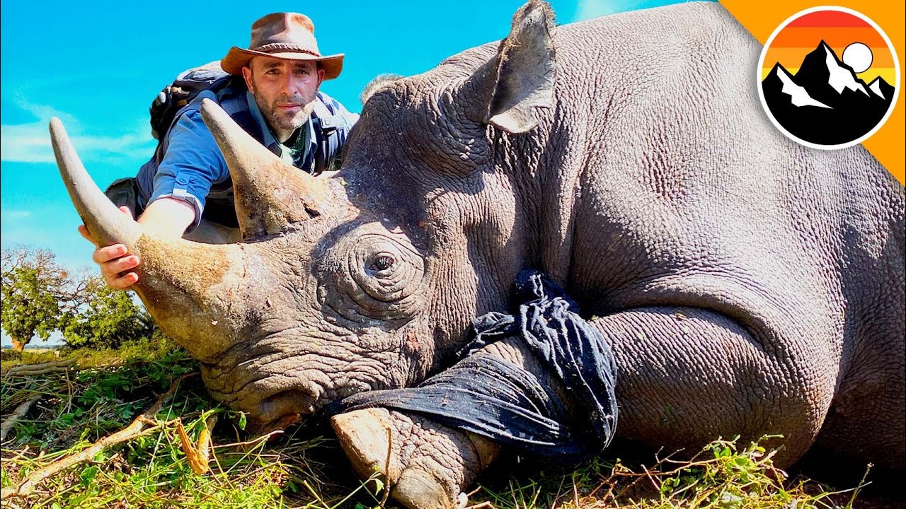 I Cut Off a Rhino's Horn. 