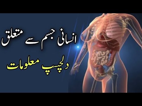 Information about human body - YouTube