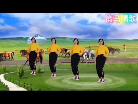舞曲:策马情歌🐎【DJ版】