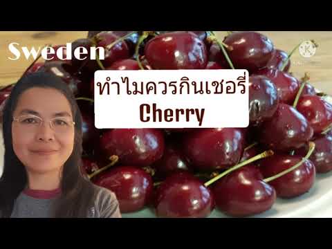 เชอร์รี่ Cherry สรรพคุณและประโยชน์ ทำไมเราควรกินเชอรี่