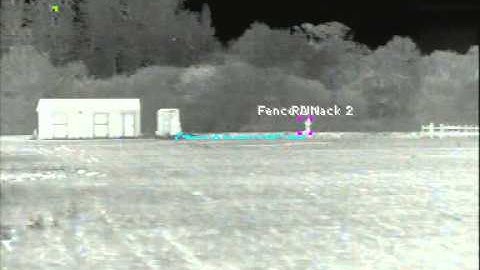 Thermal Camera Video Analytic