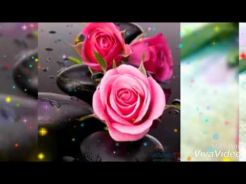 صانعو السعادة 