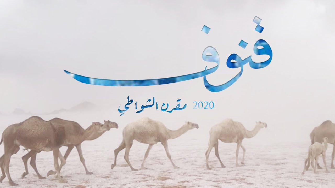 مقرن الشواطي - قنوف ( حصريآ ) 2020