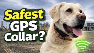 Is SpotOn Nova Actually Better Than Traditional Dog Fencing?