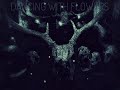 Dancing With Flowers - Barnstorming