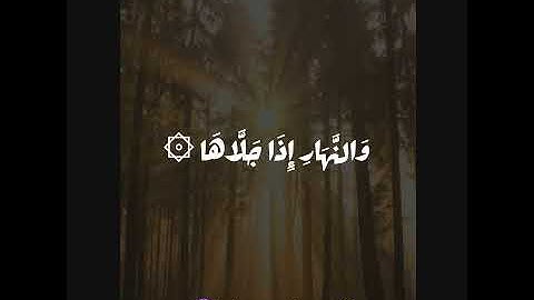 آيات مِنْ سورة الشَمْس ( عبدالمحسن القاسم)