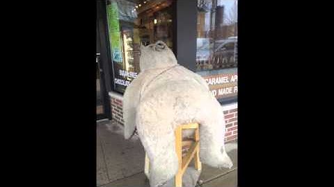 Visual Merchandising Project