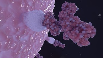 Antibodies vs. Pathogens: A 3D Animation #science #biology #immunity #sciencefacts #3dscience