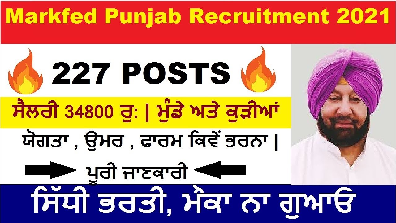 Punjab Govt Jobs April 2021 | Markfed Punjab Recruitment 2021 | Ghar Ghar Naukri 2021