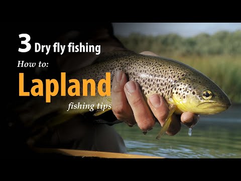How to • Dry fly fishing • Lapland • fishing tips